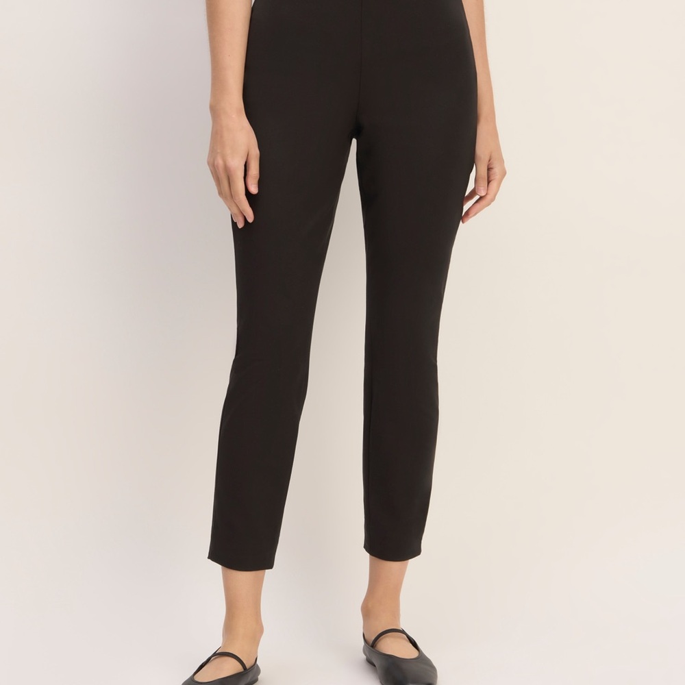 Everlane Bi-Stretch Work Pant